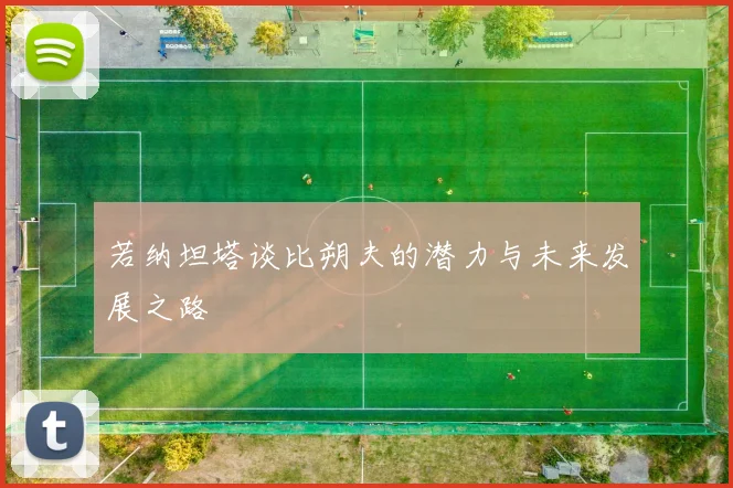 若纳坦塔谈比朔夫的潜力与未来发展之路